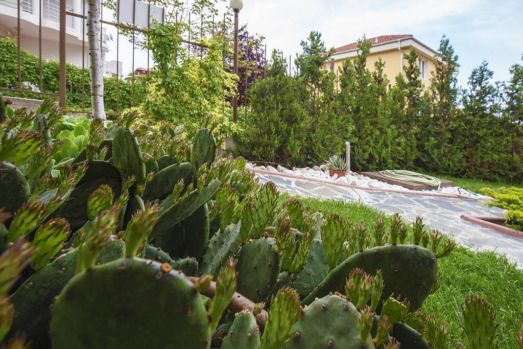Jbh Hotel Sveti Vlas Exteriér fotografie